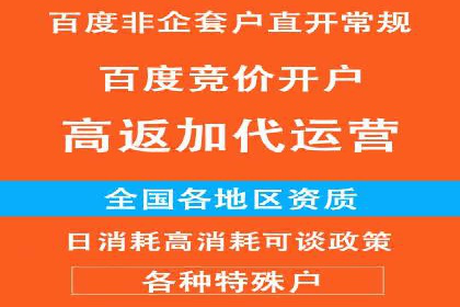 谷歌竞价广告的投放策略与成功案例分析